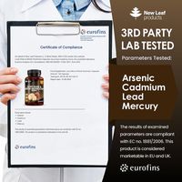 New Leaf Lions Mane & Reishi Capsules